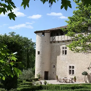 Château De Mayragues Castelnau-de-Montmiral